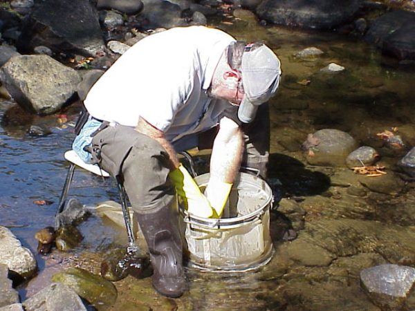 Richard Tippit (U.S. ACE Nashville) performs benthic sampling in a tributary stream.
