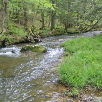 Streams such as this one are federally regulated under the Navigable Waters Rule.