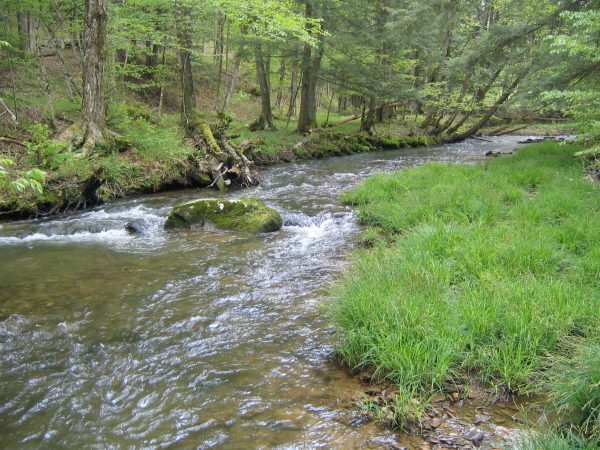 Streams such as this one are federally regulated under the Navigable Waters Protection Rule.