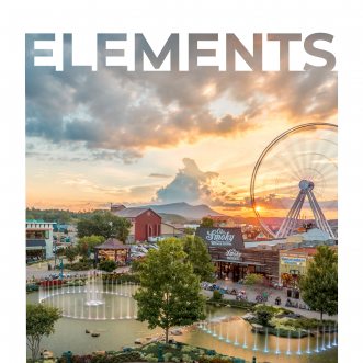 Elements 2020 Vol. 1 cover