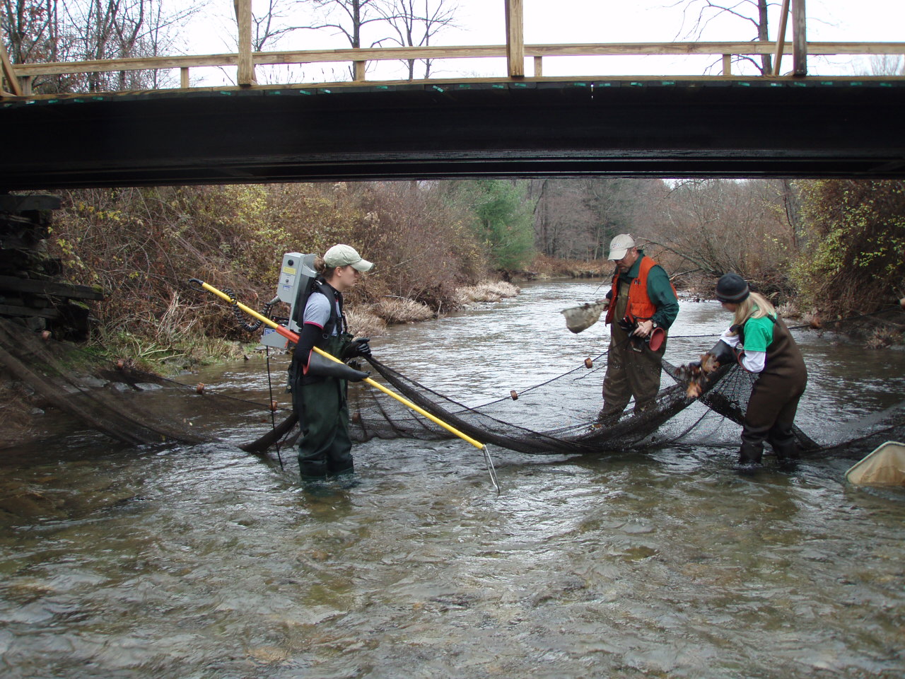 Human Health and Ecological Risk Assessments | Civil & Environmental ...
