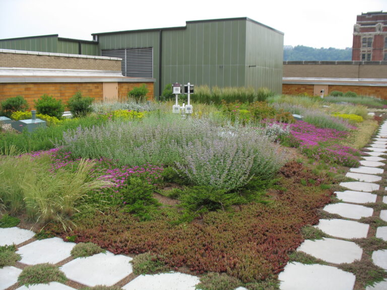 Illustration of Green Infrastructure For Community Gardens