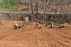 CEC ecological staff reinforce a steep slope using willow and dogwood live stakes to help stabilize soils.